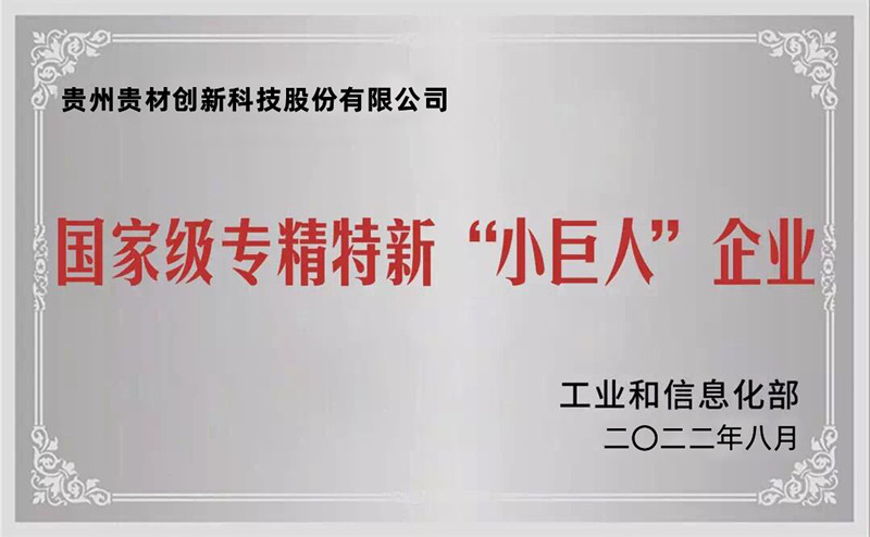 小巨人企業(yè)