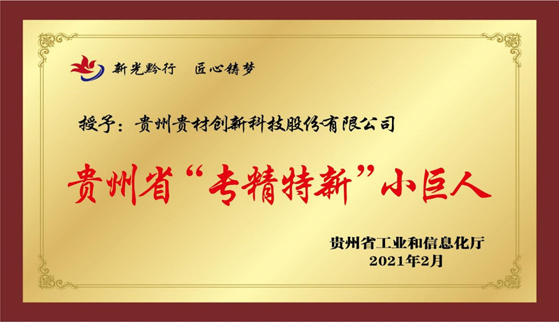專精特新小巨人